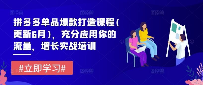 拼多多单品爆款打造课程(更新6月)，充分应用你的流量，增长实战培训-博库