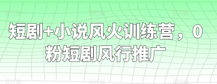 短剧+小说风火训练营，0粉短剧风行推广-博库