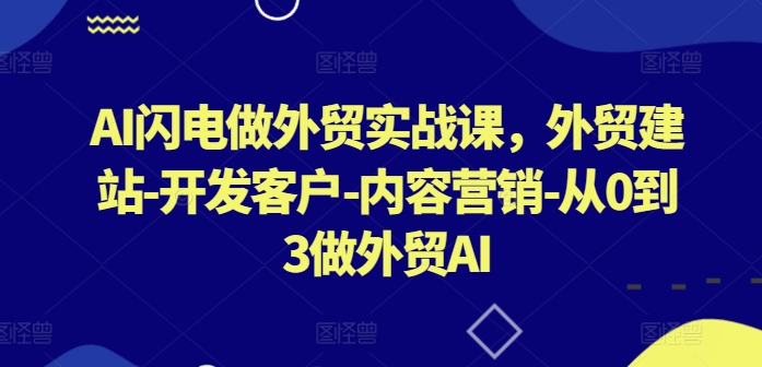 AI闪电做外贸实战课，​外贸建站-开发客户-内容营销-从0到3做外贸AI(更新)-博库