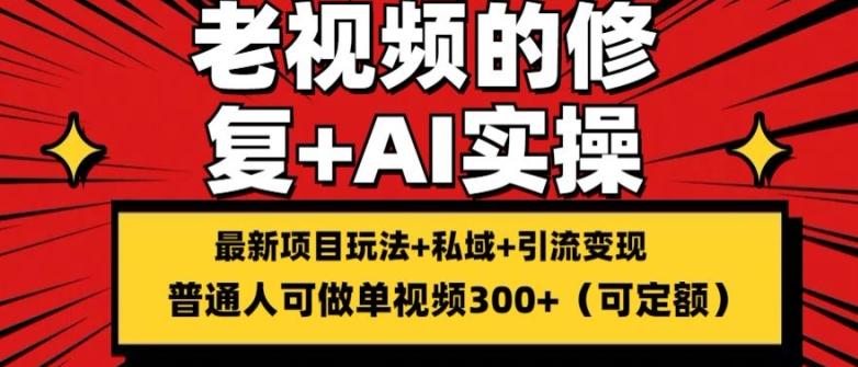 修复老视频的玩法，搬砖+引流的变现(可持久)，单条收益300+【揭秘】-博库