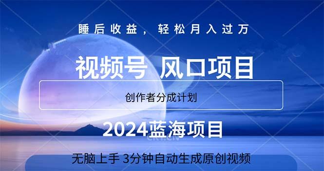 2024蓝海项目，3分钟自动生成视频，月入过万-博库