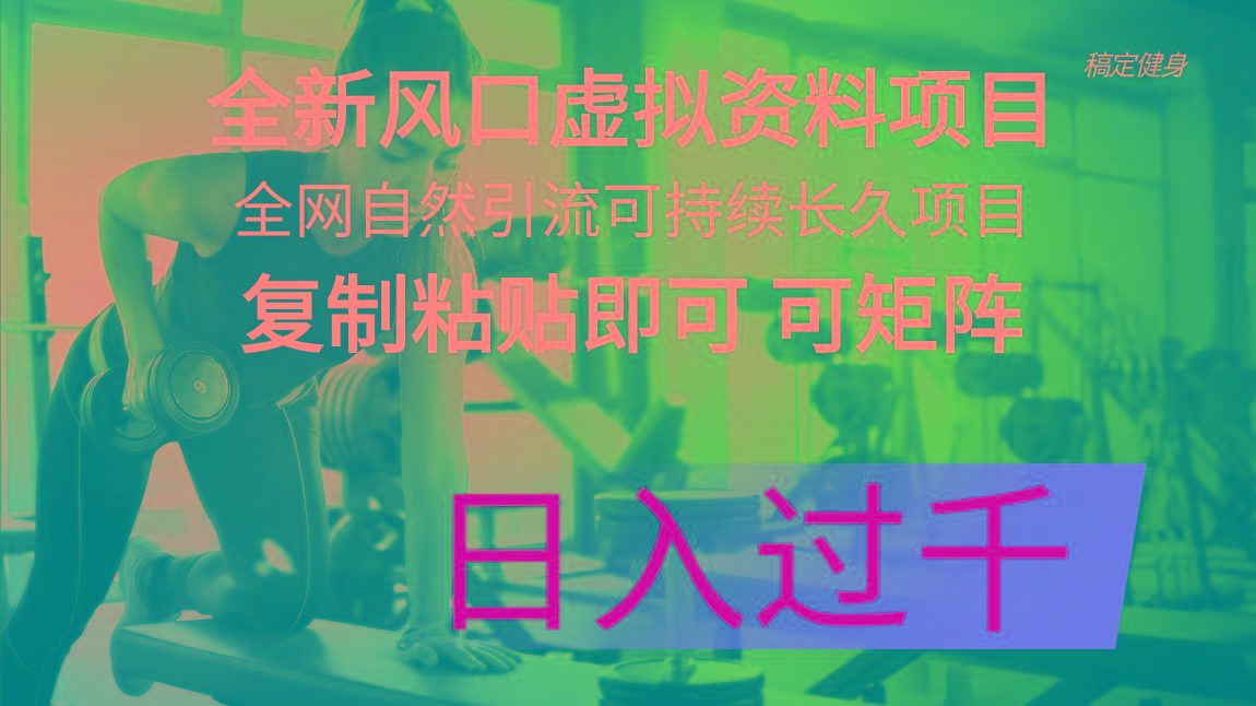 全新风口虚拟资料项目 全网自然引流可持续长久项目 复制粘贴即可可矩阵…-博库