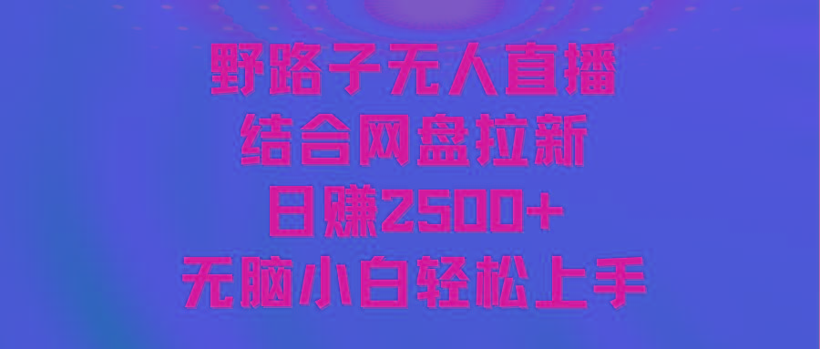 无人直播野路子结合网盘拉新，日赚2500+多平台变现，小白无脑轻松上手操作-博库