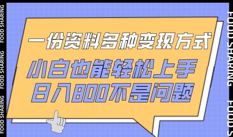 一份资料多种变现方式，小白也能轻松上手，日入800不是问题【揭秘】-博库