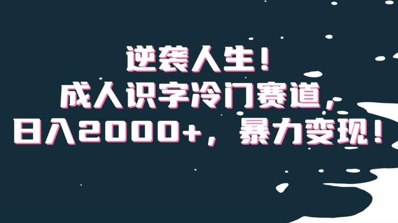 逆袭人生！成人识字冷门赛道，日入2000+，暴力变现！【揭秘】-博库