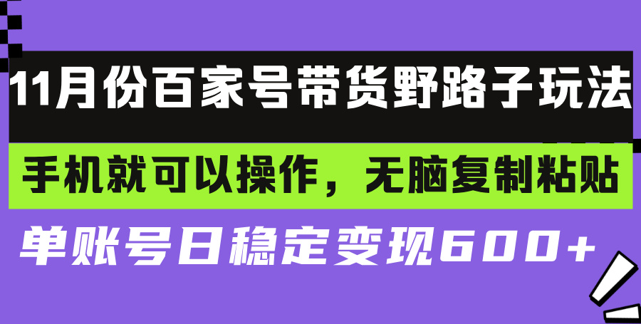 百家号带货野路子玩法 手机就可以操作，无脑复制粘贴 单账号日稳定变现…-博库