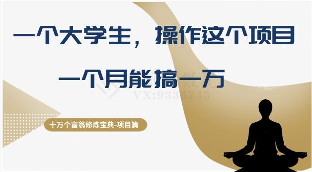 十万个富翁修炼宝典之4.一个大学生操作这个项目，一个月能搞一万-博库