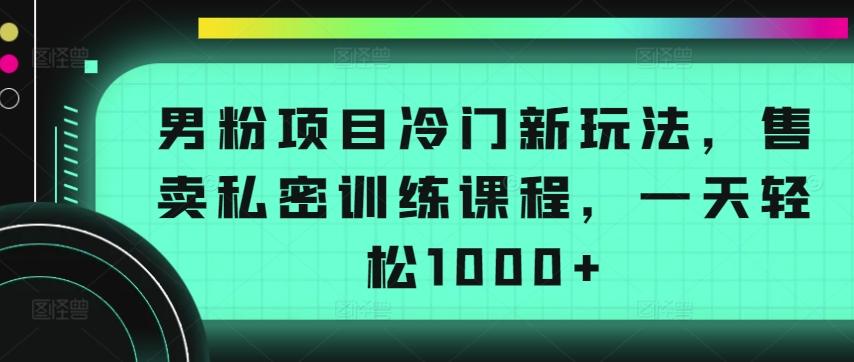 男粉项目冷门新玩法，售卖私密训练课程，一天轻松1000+【揭秘】-博库