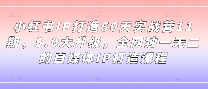 小红书IP打造60天实战营11期，5.0大升级，全网独一无二的自媒体IP打造课程-博库