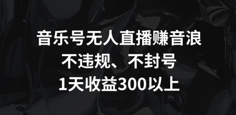 音乐号无人直播赚音浪，不违规、不封号，1天收益300+【揭秘】-博库