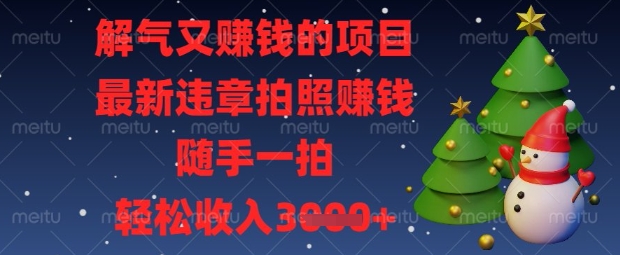 解气又挣钱的项目，最新违章拍照挣钱，随手一拍，轻松收入数张【揭秘】-博库