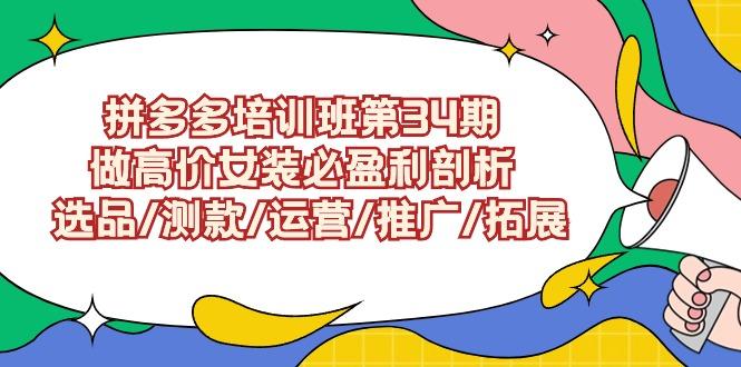 (9333期)拼多多培训班第34期：做高价女装必盈利剖析  选品/测款/运营/推广/拓展-博库