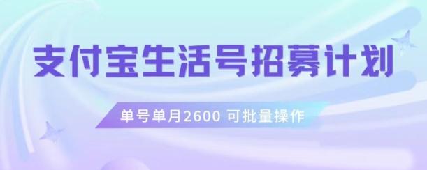 支付宝生活号作者招募计划，单号单月2600，可批量去做，工作室一人一个月轻松1w+【揭秘】-博库