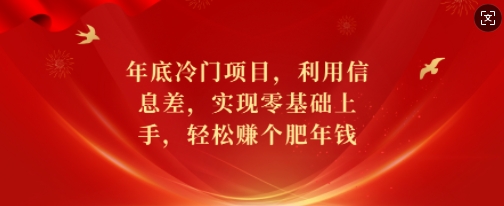 年底冷门项目，利用信息差，实现零基础上手，轻松赚个肥年钱【揭秘】-博库