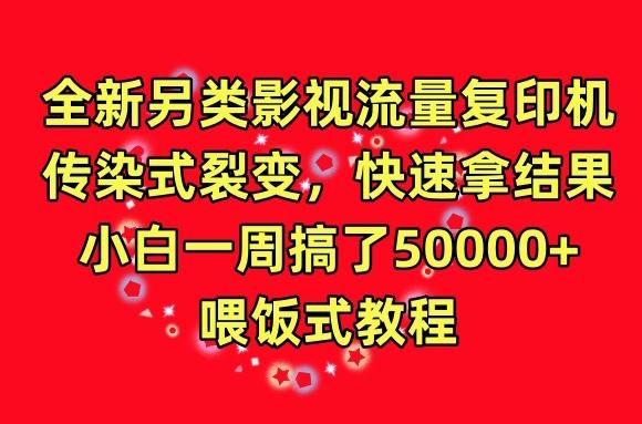 全新另类影视流量复印机，传染式裂变，快速拿结果，小白一周搞了50000+，喂饭式教程【揭秘】-博库