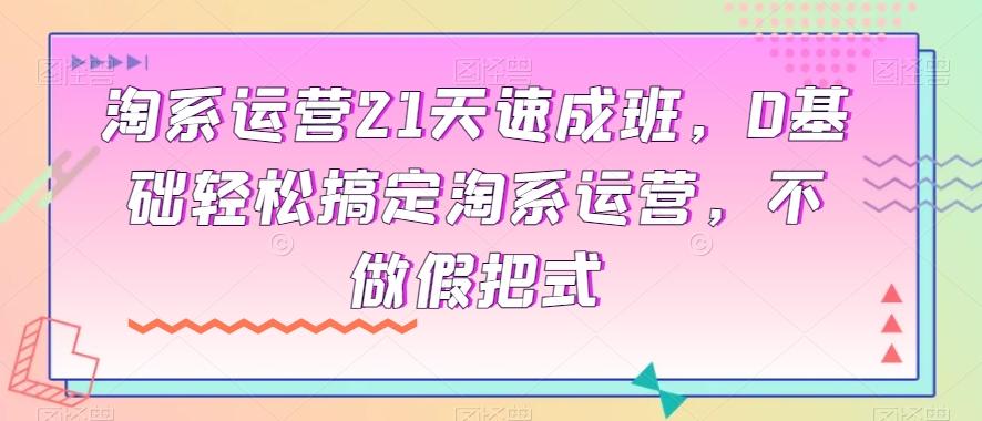 淘系运营21天速成班，0基础轻松搞定淘系运营，不做假把式-博库