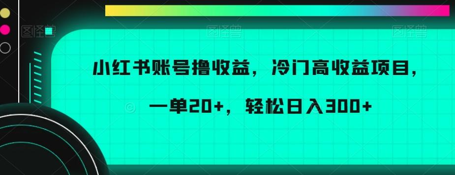 小红书账号撸收益，冷门高收益项目，一单20+，轻松日入300+【揭秘】-博库