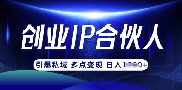 云帆·创业ip合伙人打造3.0，从0到1教你做网创，实现月入过W-博库