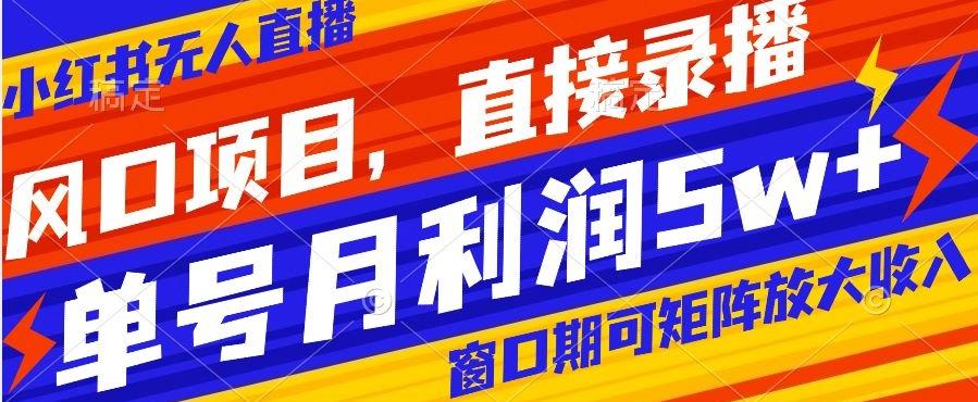 风口项目，小红书无人直播带货，直接录播，可矩阵，月入5w+【揭秘】-博库