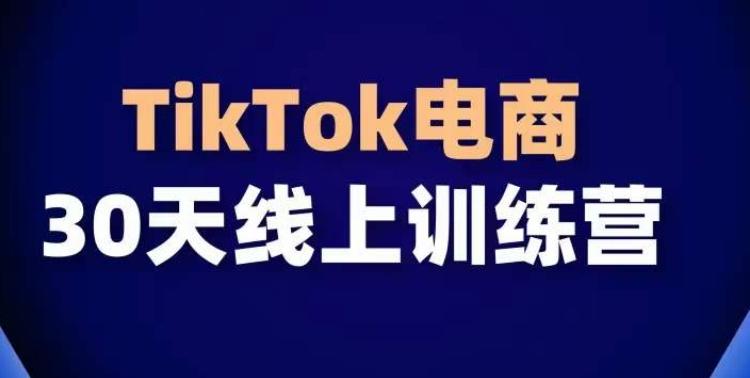 TikTok电商带货30天线上课，不可错过的全球流量洼地！-博库