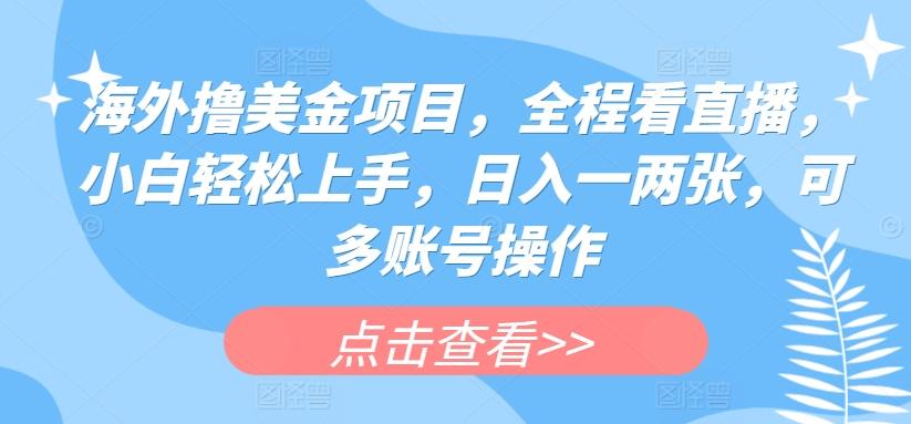 海外撸美金项目，全程看直播，小白轻松上手，日入一两张，可多账号操作【揭秘】-博库