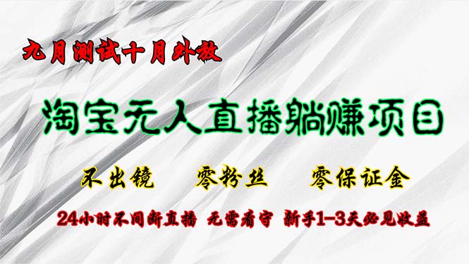 淘宝无人直播最新玩法，九月测试十月外放，不出镜零粉丝零保证金，24小…-博库