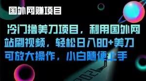 冷门撸美刀项目，利用国外网站刷视频，轻松日入80+美刀，可放大操作，小白随便上手-博库