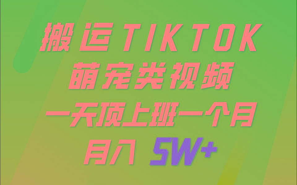 一键搬运TIKTOK萌宠类视频，一部手机即可操作，所有平台均可发布 轻松月入5W+-博库