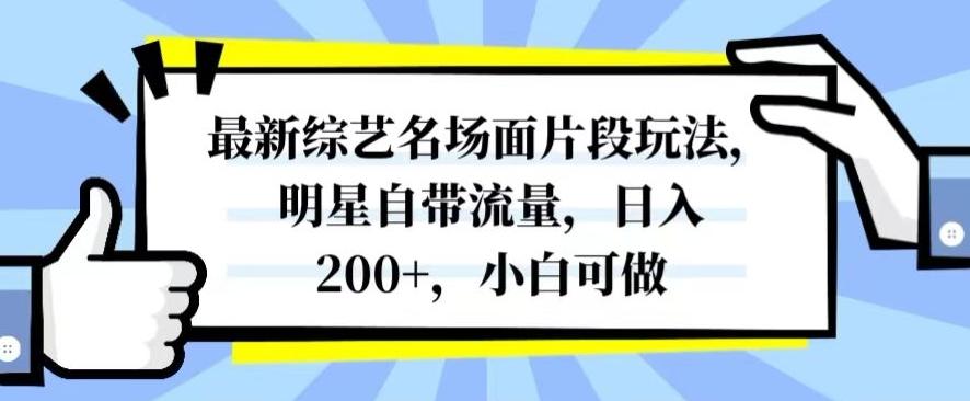 最新综艺名场面片段玩法，明星自带流量，日入200+，小白可做【揭秘】-博库