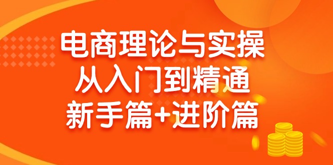 (9576期)电商理论与实操从入门到精通 新手篇+进阶篇-博库