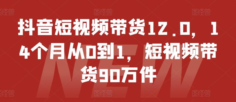 抖音短视频带货12.0，14个月从0到1，短视频带货90万件-博库