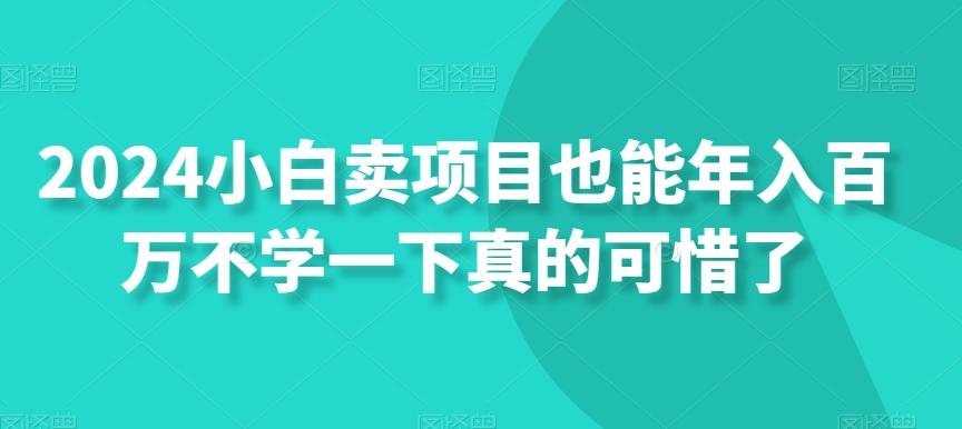 2024小白卖项目也能年入百万不学一下真的可惜了-博库