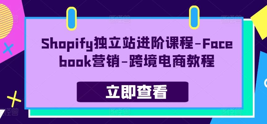 Shopify独立站进阶课程-Facebook营销-跨境电商教程-博库