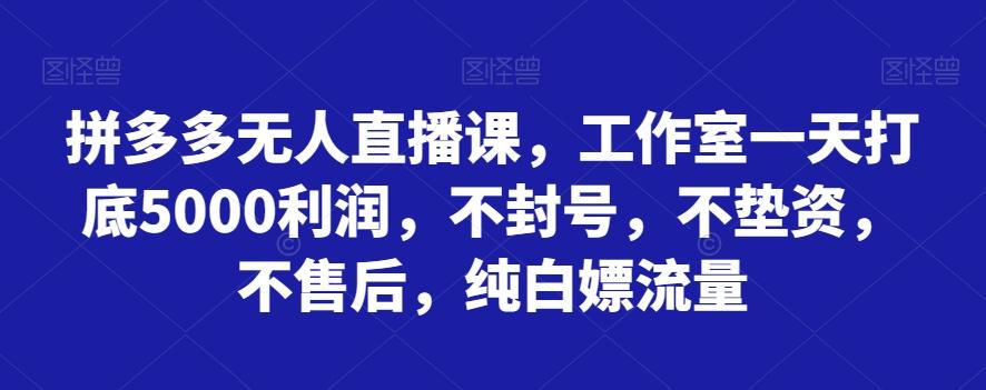 拼多多无人直播课，工作室一天打底5000利润，不封号，不垫资，不售后，纯白嫖流量-博库