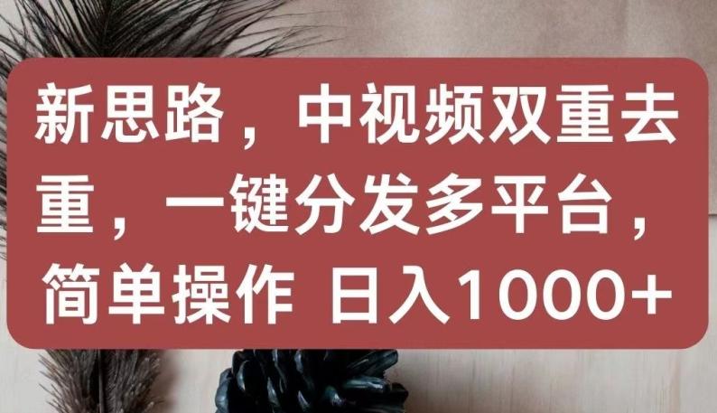 新思路，中视频双重去重，一键分发多平台，简单操作，日入1000+【揭秘】-博库