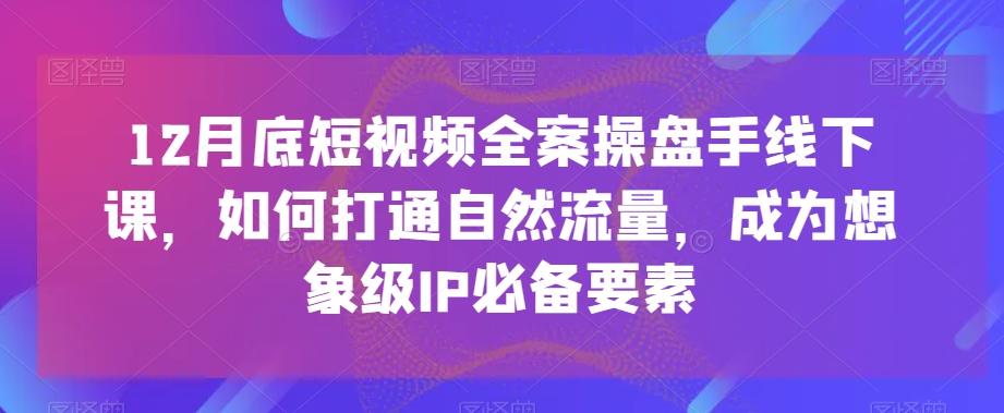 12月底短视频全案操盘手线下课，如何打通自然流量，成为想象级IP必备要素-博库