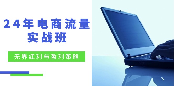 24年电商流量实战班：无界 红利与盈利策略，终极提升/关键词优化/精准…-博库