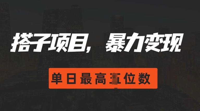 2024搭子玩法，0门槛，暴力变现，单日最高破四位数【揭秘】-博库