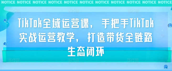 TikTok全域运营课，手把手TikTok实战运营教学，打造带货全链路生态闭环-博库