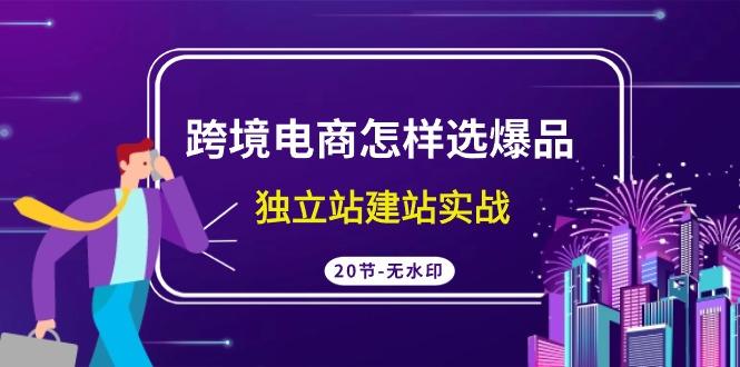 (9369期)跨境电商怎样选爆品，独立站建站实战(20节高清无水印课)-博库