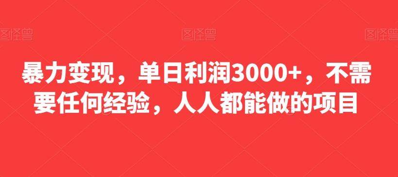 暴力变现，单日利润3000+，不需要任何经验，人人都能做的项目-博库