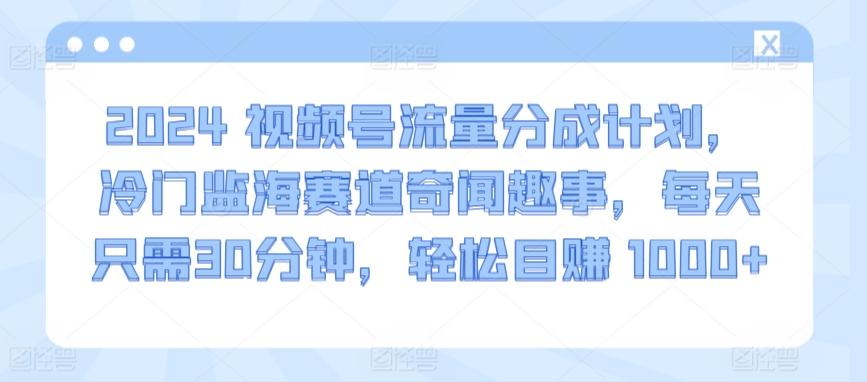 2024视频号流量分成计划，冷门监海赛道奇闻趣事，每天只需30分钟，轻松目赚 1000+【揭秘】-博库