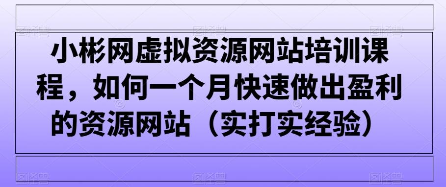 小彬网虚拟资源网站培训课程，如何一个月快速做出盈利的资源网站(实打实经验)-博库