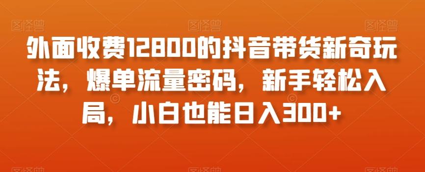 外面收费12800的抖音带货新奇玩法，爆单流量密码，新手轻松入局，小白也能日入300+【揭秘】-博库