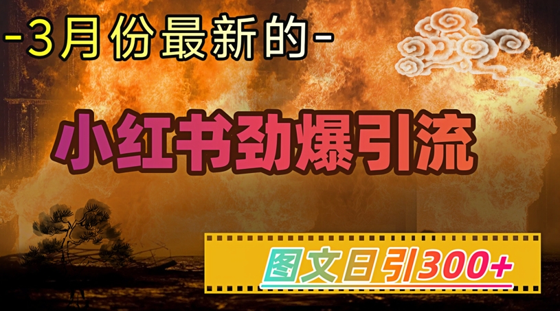 小红书超劲爆引流手段，图文日引300+轻松变现1W-博库