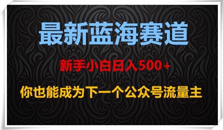 最新蓝海赛道，新手小白日入500+，你也能成为下一个公众号流量主【揭秘】-博库