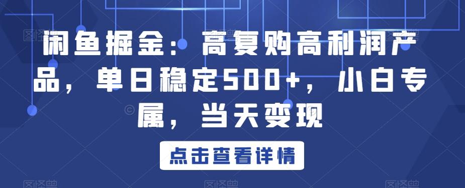 闲鱼掘金：高复购高利润产品，单日稳定500+，小白专属，当天变现-博库