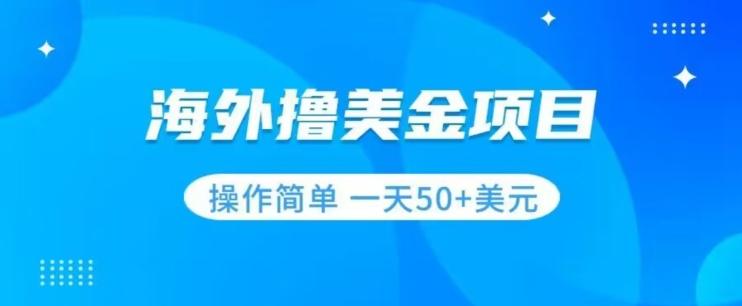 撸美金项目无门槛操作简单小白一天50+美刀-博库