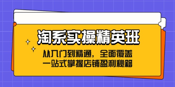 淘系实操精英班：从入门到精通，全面覆盖，一站式掌握店铺盈利秘籍-博库