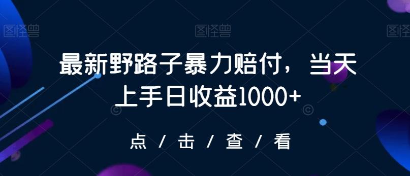 最新野路子暴力赔付，当天上手日收益1000+【仅揭秘】-博库